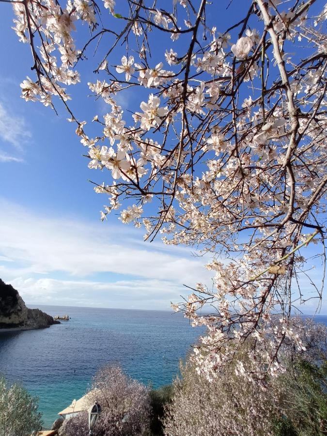 Hotel Ostria Áyios Nikítas Exteriér fotografie